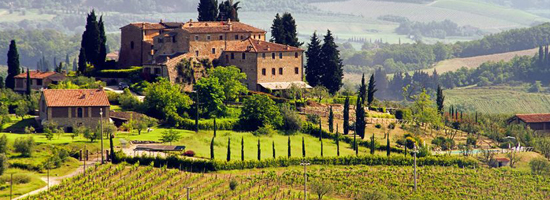 Wine Limo Tour in  Piedmont